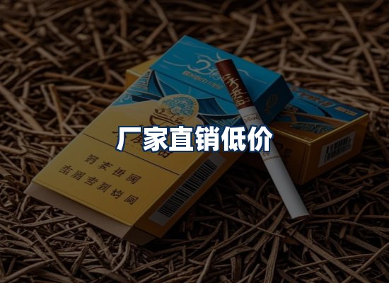 专业团队办公环境